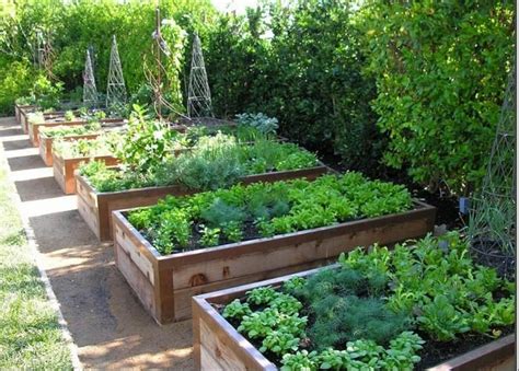 Ask The Expert How To Create A Beautiful Edible Garden