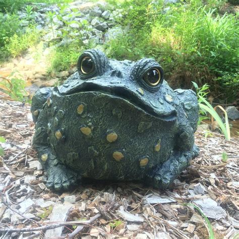 12 Inch Jumbo Toad Collectible Garden Frog Statue Backyard Home Outdoor