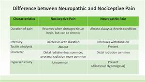 Neuropathic Vs Nociceptive 