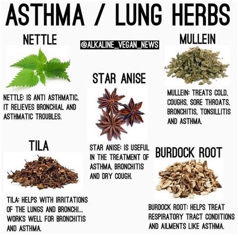 pin by mary oracle on herb in 2020 herbalism herbs herbs for health