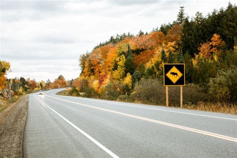 Boei Met Het Mose Verkeersbord In Het Provinciepark Ontario Canada