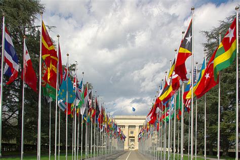 Royalty Free United Nations Flag Pictures Images And Stock Photos Istock