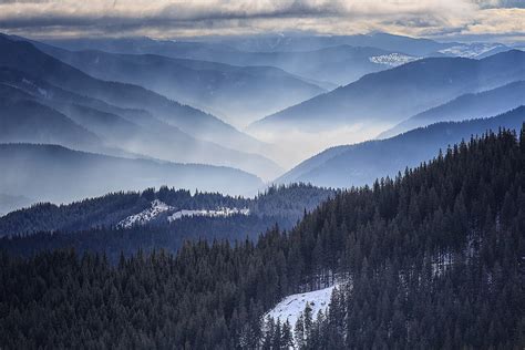 Nature Landscape Morning Mist Romania Mountain Forest Snow Pine