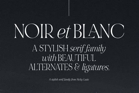 Noir Et Blanc Stylish Serif Serif Fonts Creative Market