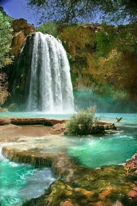 Beautiful Beautiful Waterfalls Havasu Falls Places To See
