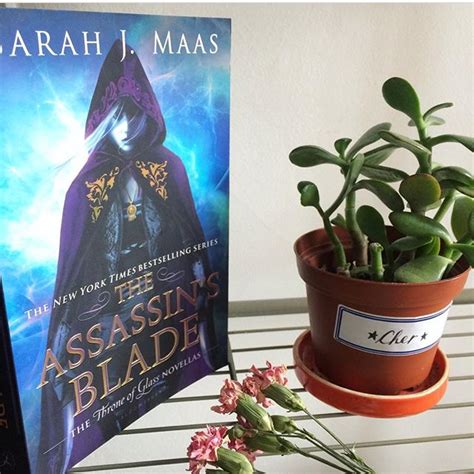 Review The Assassins Blade By Sarah J Maas Words Pages Books