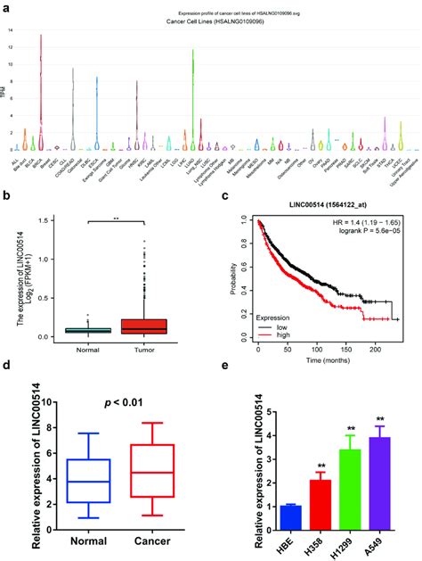 Linc Was Upregulated In Nsclc And Associated With A Poor