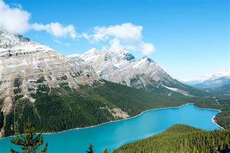 Peyto Lake Canada Everything You Need To Know About It