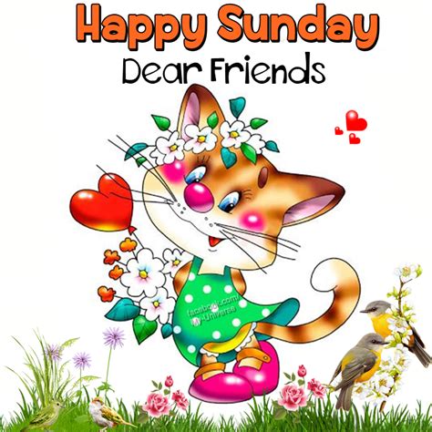 Happy Sunday Dear Friends Pictures Photos And Images For Facebook