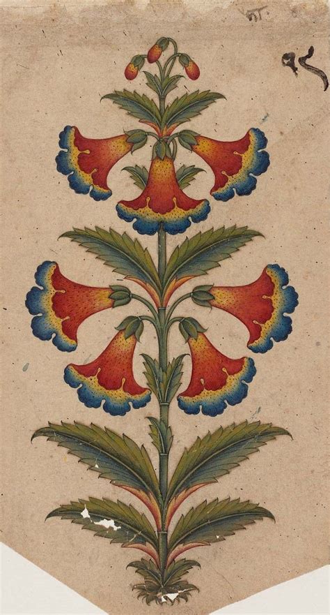 Decorative Motif In The Form Of A Flowering Plant Indian Pahari About