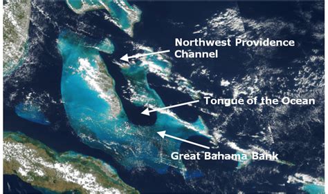 The Tongue Of The Ocean Noaa Coastwatch And Oceanwatch
