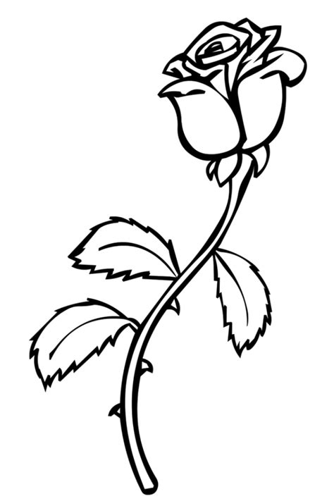 There are so many drawings of roses to print and color for children! Roses coloring book - Disney Coloring Pages