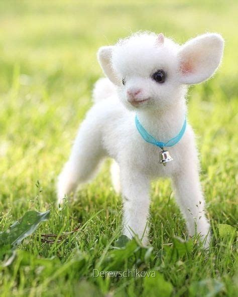 We compiled the dog finger family, cow finger family, camel finger family, cat finger family and horse finger family videos and made a single domestic finger family video to teach your kids domestic animals as well as finger family song. Surprise Eggs Farm Animals Toys with Funny Animal Sounds ...