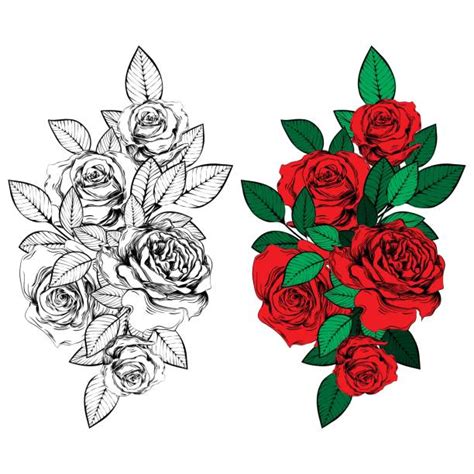 Drawing Of The Black And Red Rose Tattoos Illustrations Royalty Free