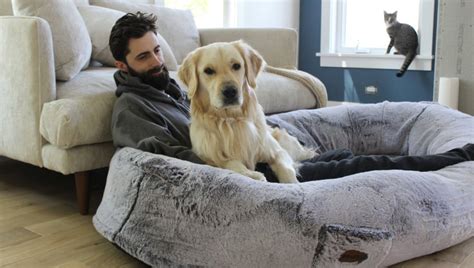 Plufl Human Dog Bed Review