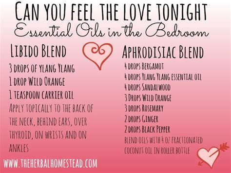 essential oils can you feel the love tonight essential oil blends in the bedroom it is a