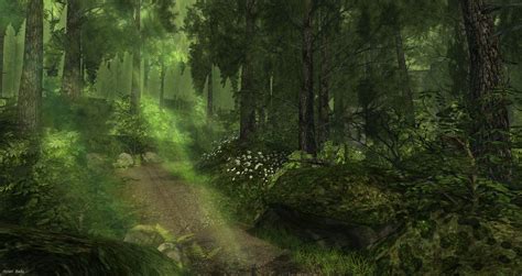 Basic facts about temperate broadleaf and mixed forest: Wallpaper : sunlight, animals, nature, green, wilderness ...