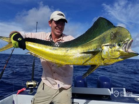 Tuna Yellowfin Fishing In Belize Fishingbooker