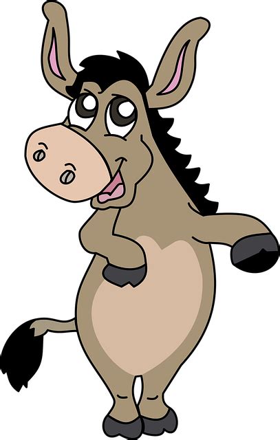 Burro Donkey · Free Vector Graphic On Pixabay