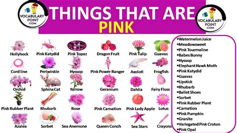 450 Amazing Things That Are Pink Vocabulary Point