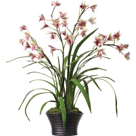 Oka Faux Potted Cymbidium Orchid Artificial Flowers And Plants Cymbidium Orchids Artificial