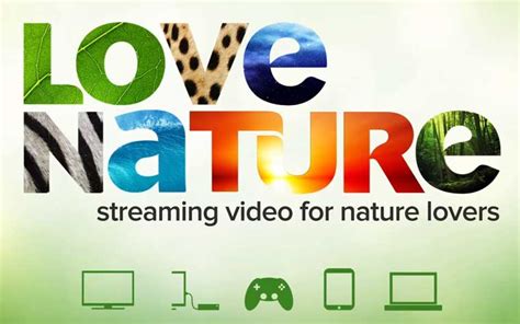 Love Nature Neuer Vod Service Bietet Naturfilme In 4k