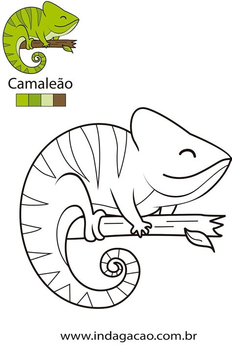 Camaleão Para Colorir Bom Dia Todas As Cores