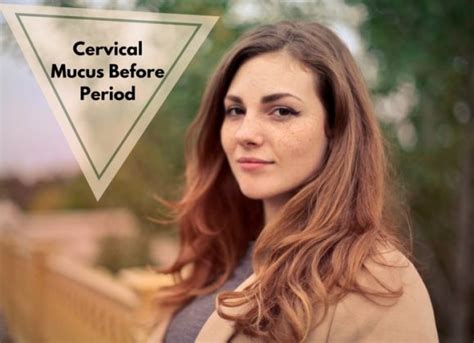 Cervical Mucus Before Period Stages During Menstrual Cycle