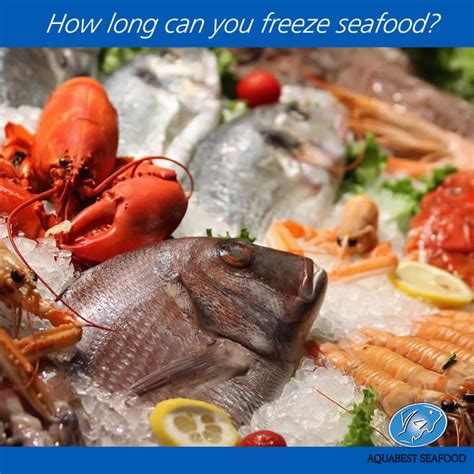 How Long Can You Freeze Seafood Aquabest Seafood Fresh Tilapia