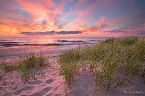 Classic Lake Michigan Sunset Tall Green Grass Blowing In The Breeze