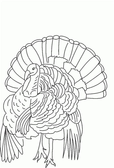 Home > animal > free printable turkey coloring pages for kids by best coloring pages august 12th 2013 turkeys are large birds that can be found in farmlands or wild forests. Wild Turkey Coloring Page - Coloring Home