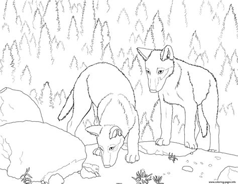 Realistic Coloring Pages Of Wolves ~ Wolf Coloring Wolves Realistic