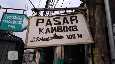 Рет қаралды 3,5 м.3 күн бұрын. Cek Harga Kurban di Pasar Kambing Tanah Abang - Bisnis ...
