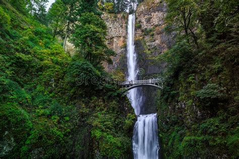 Multnomah Falls Columbia River Gorge Oregon Stock Photo Image Of