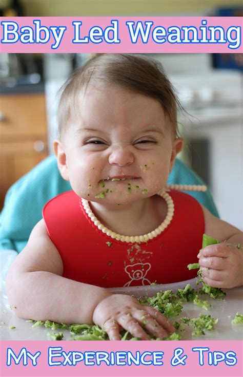 Check spelling or type a new query. Baby Led Weaning: My Experience, Tips, First Foods and ...