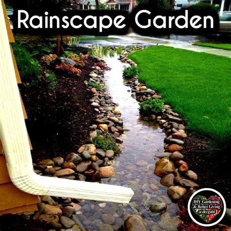 Rainscape Garden Diy Gardening And Better Living