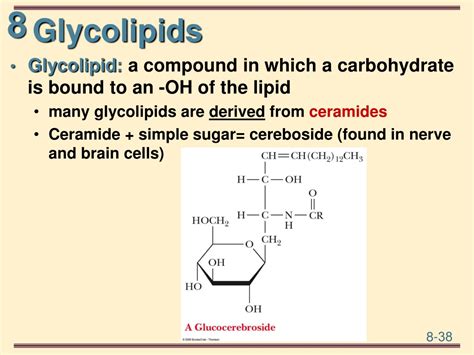 Ppt Lipids And Membranes Powerpoint Presentation Free Download Id