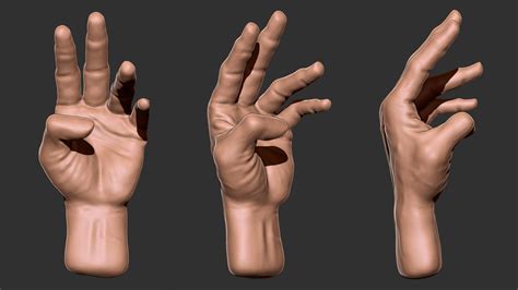 Artstation Hand Anatomy