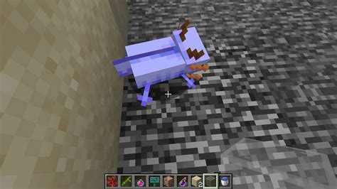 How To Summon Blue Axolotl In Minecraft Pe Faireun