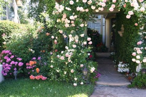 40 Awesome Eden Rose Garden To Enhance Your Beautiful Garden Eden