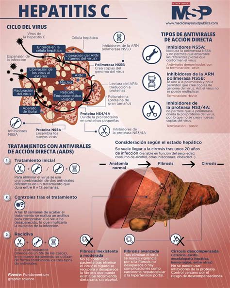 Hepatitis C Infografía