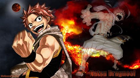 Fairy Tail Full Hd Wallpaper And Background Image 1920x1080 Id387047