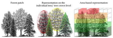 1 Concepts Of Canopy Structure Representation For A Given Forest Patch