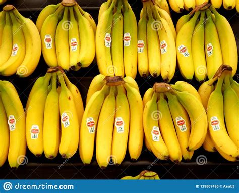 Bananas Editorial Image Image Of Vegan Healthy Bunch 129867495