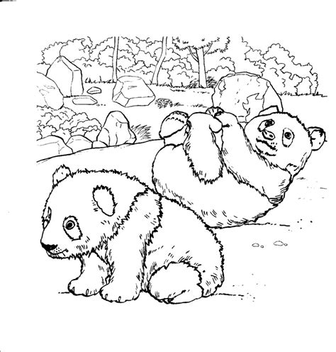 Panda Coloring Page Images Animal Place