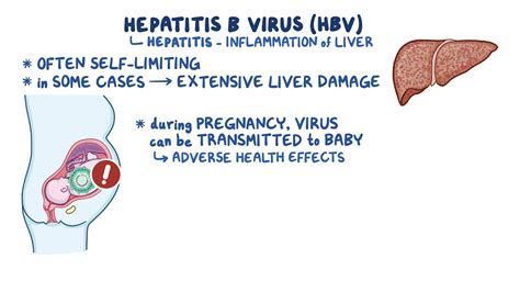 Hepatitis B Virus Hbv Infection In Pregnancy Nursing Osmosis Video