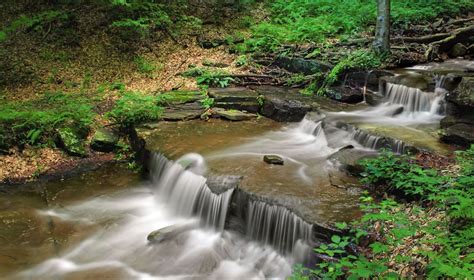 Free Picture Water Ecology Stream Waterfall River Nature Wood Creek