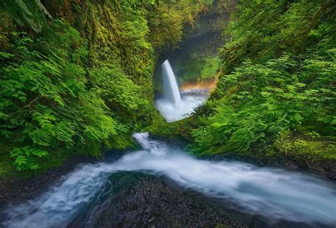 Landscape Nature Waterfall Rainbows Mist Shrubs River Ferns