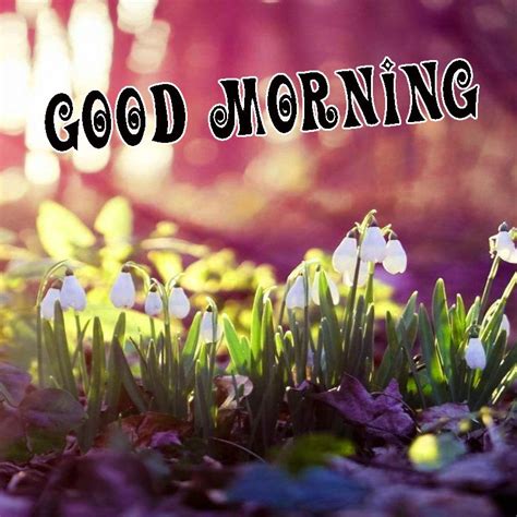 131 Spring Good Morning Wishes Images Photo Pics Download Good