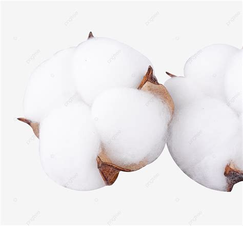Cotton Raw Material Xinjiang Pure Cotton Cotton Wool Cotton Xinjiang